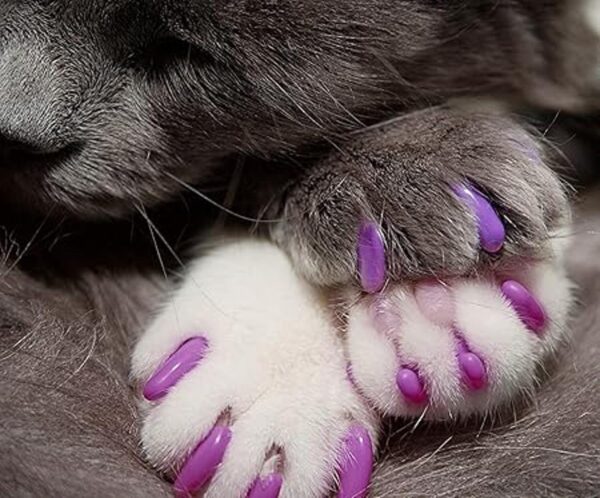 Kitty Caps Tapas de uñas para gatos Verde primavera con