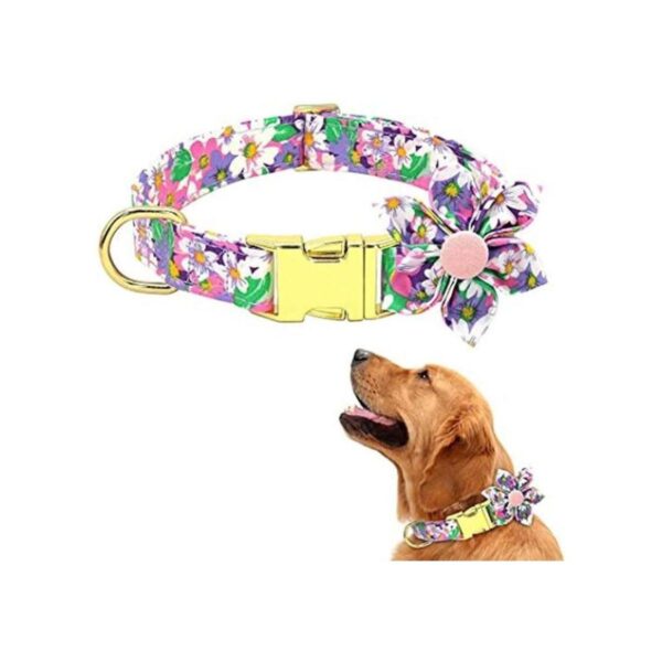 Collar de perro femenino para perros