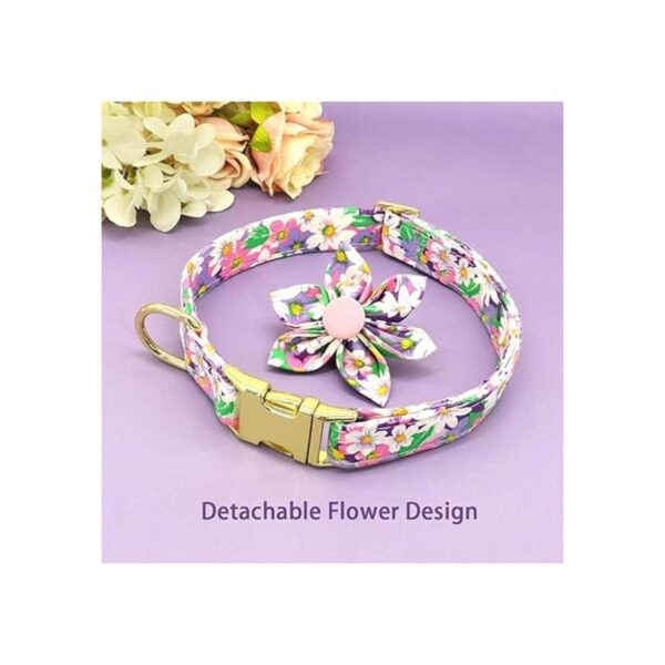 Collar de perro femenino para perros