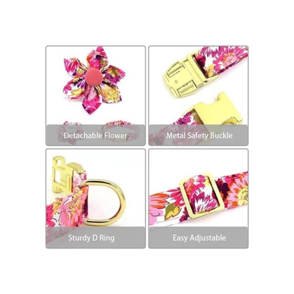 Collar de perro femenino para perros