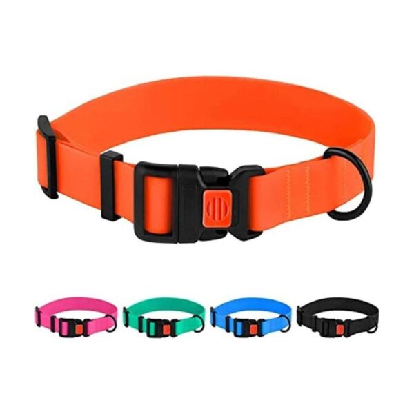 CollarDirect Collar ajustable para perro colorido