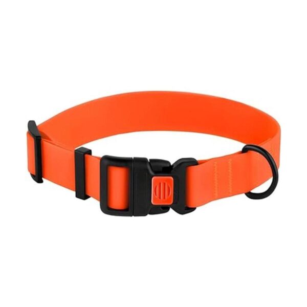 CollarDirect Collar ajustable para perro colorido