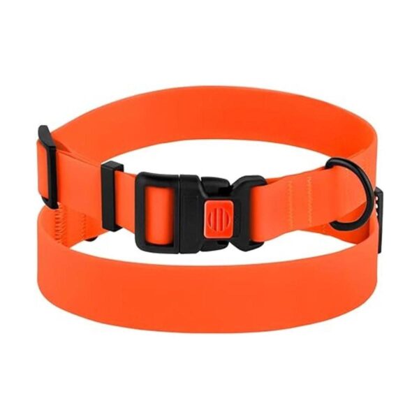 CollarDirect Collar ajustable para perro colorido