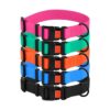 CollarDirect Collar ajustable para perro colorido
