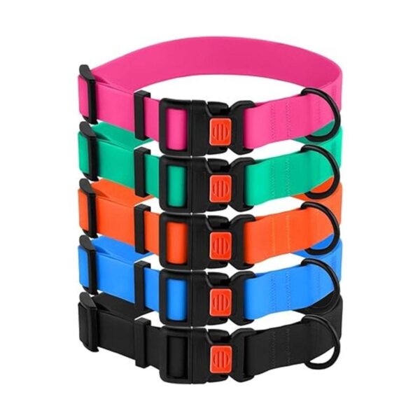 CollarDirect Collar ajustable para perro colorido