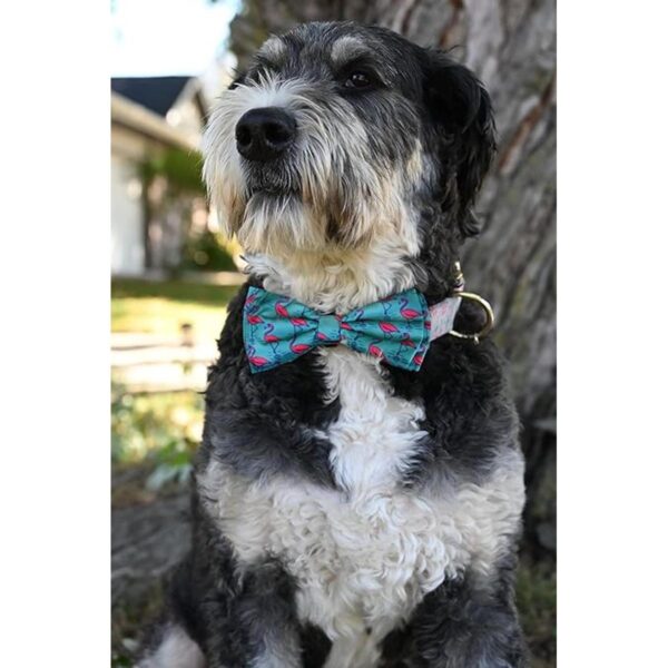 Huxley Kent Pajarita para mascotas flamenco pequeño