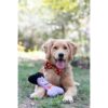 Huxley Kent Pajarita para mascotas Linterna a cuadros