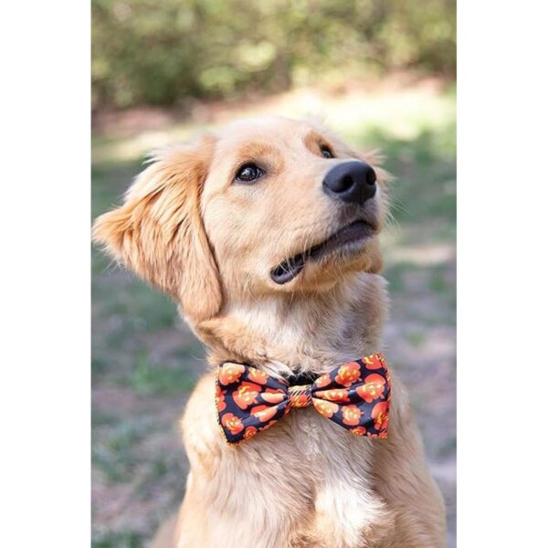 Huxley Kent Pajarita para mascotas Linterna a cuadros