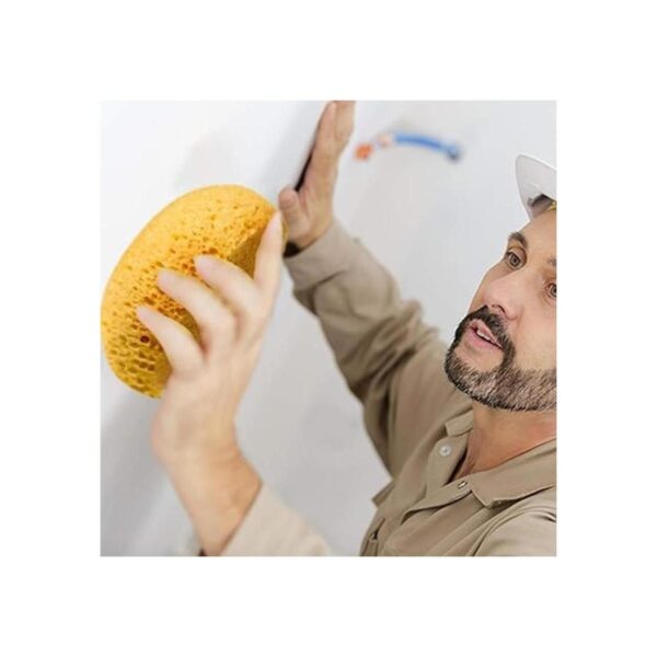 Esponja de textura de 3 piezas esponja de textura de piel