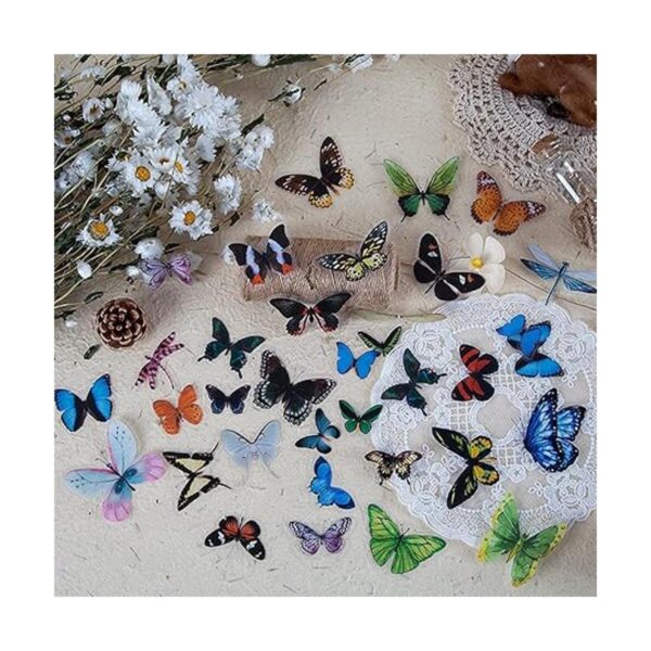 Juego de 240 calcomanías de insectos de libélula de