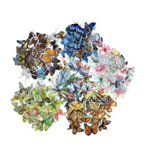 Juego de 240 calcomanías de insectos de libélula de