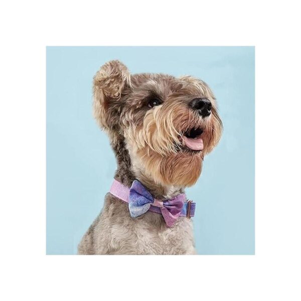 Collar de perro floral para niña y perro suave cómodo