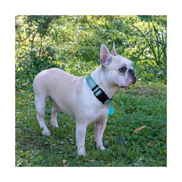 Ladoogo Collar reflectante para perro acolchado con