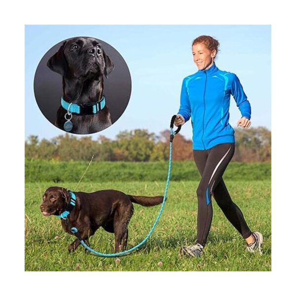 Ladoogo Collar reflectante para perro acolchado con