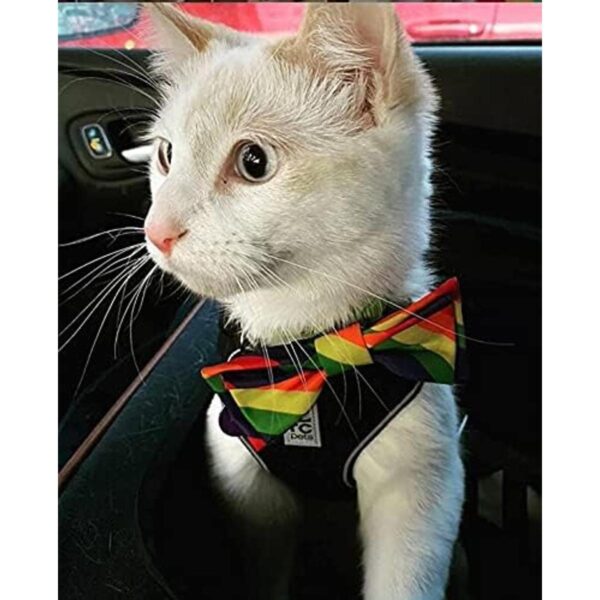 Huxley Kent Pajarita Igualdad del orgullo grande