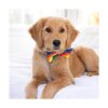 Huxley Kent Pajarita Igualdad del orgullo grande