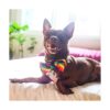 Huxley Kent Pajarita Igualdad del orgullo grande