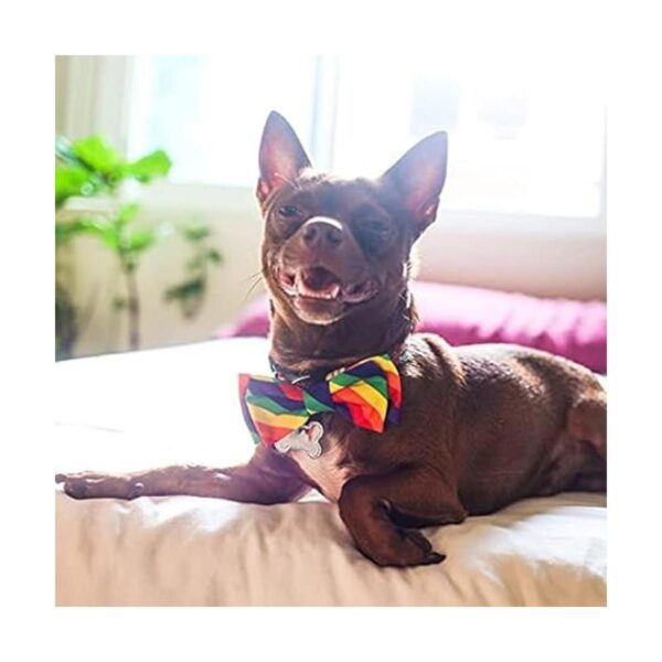 Huxley Kent Pajarita Igualdad del orgullo grande