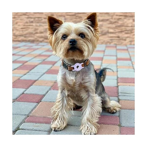 Funda protectora compatible con Apple AirTag para collar