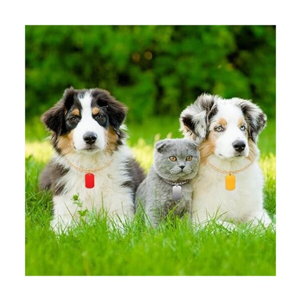 Etiquetas de aluminio en blanco para perros etiquetas
