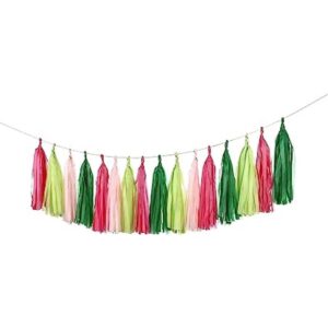 Guzon Guirnalda de borlas para fiesta de sandía paquete_1