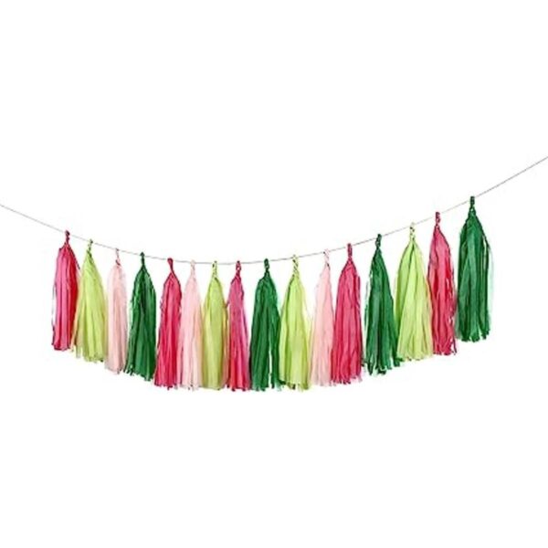 Guzon Guirnalda de borlas para fiesta de sandía paquete_1