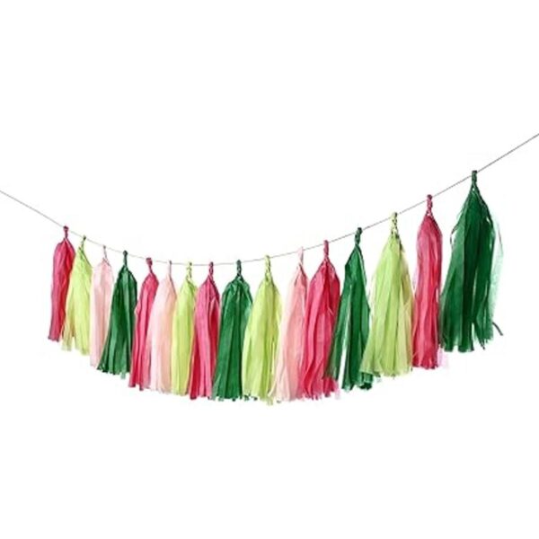 Guzon Guirnalda de borlas para fiesta de sandía paquete_2