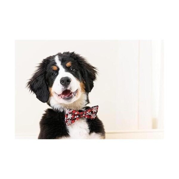 Huxley Kent Pajarita para mascotas búfalo y nieve_5
