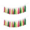 Guzon Guirnalda de borlas para fiesta de sandía paquete_3