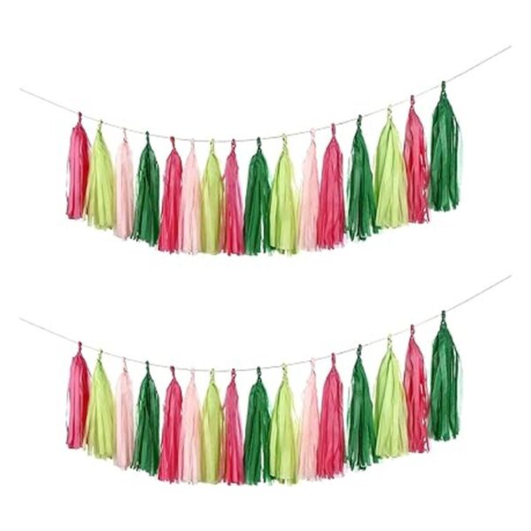 Guzon Guirnalda de borlas para fiesta de sandía paquete_3