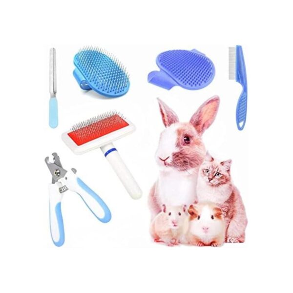 Kit de aseo de conejo de 6 piezas con cepillo de aseo para