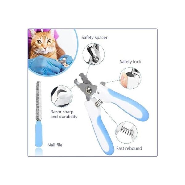 Kit de aseo de conejo de 6 piezas con cepillo de aseo para