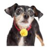 Leinuosen 14 collares de perro con flores para mascotas