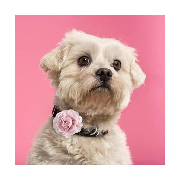 Leinuosen 14 collares de perro con flores para mascotas