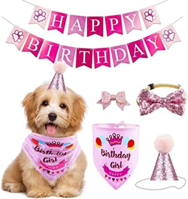 GAGILAND Juego de pancarta de cumpleaños para perro niño_1