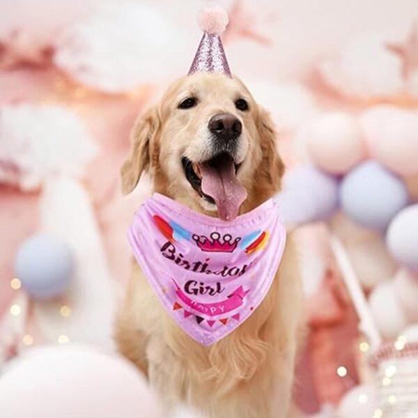 GAGILAND Juego de pancarta de cumpleaños para perro niño_6