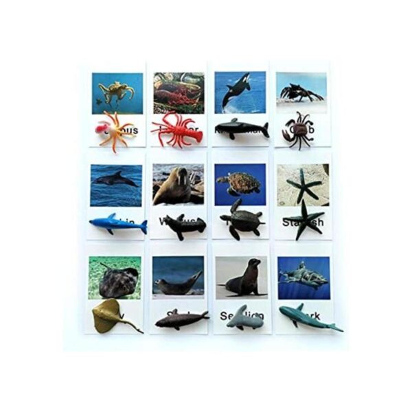 Montessori Animal Match Game Cards Marine Animal Matching_1
