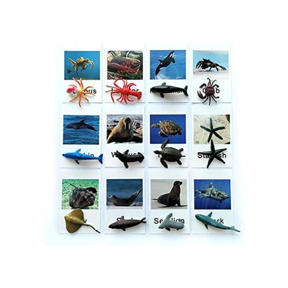 Montessori Animal Match Game Cards Marine Animal Matching