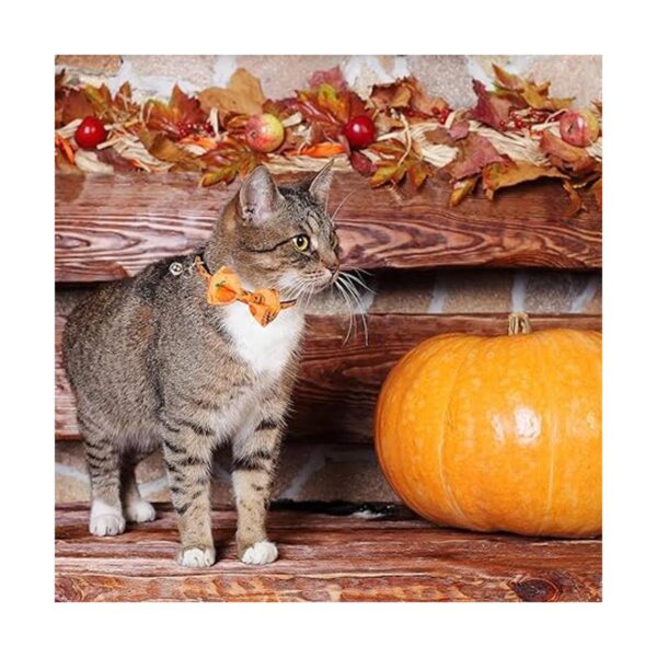 PTDECOR Collares de gato de Halloween con casquillo de