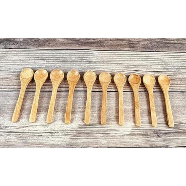 JapanBargain Cucharas de bambú para té o especias 2 4 x