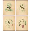 Lienzo botánico de pájaros vintage estampado de pájaros_1