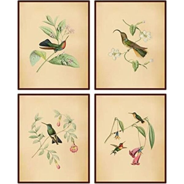 Lienzo botánico de pájaros vintage estampado de pájaros_1