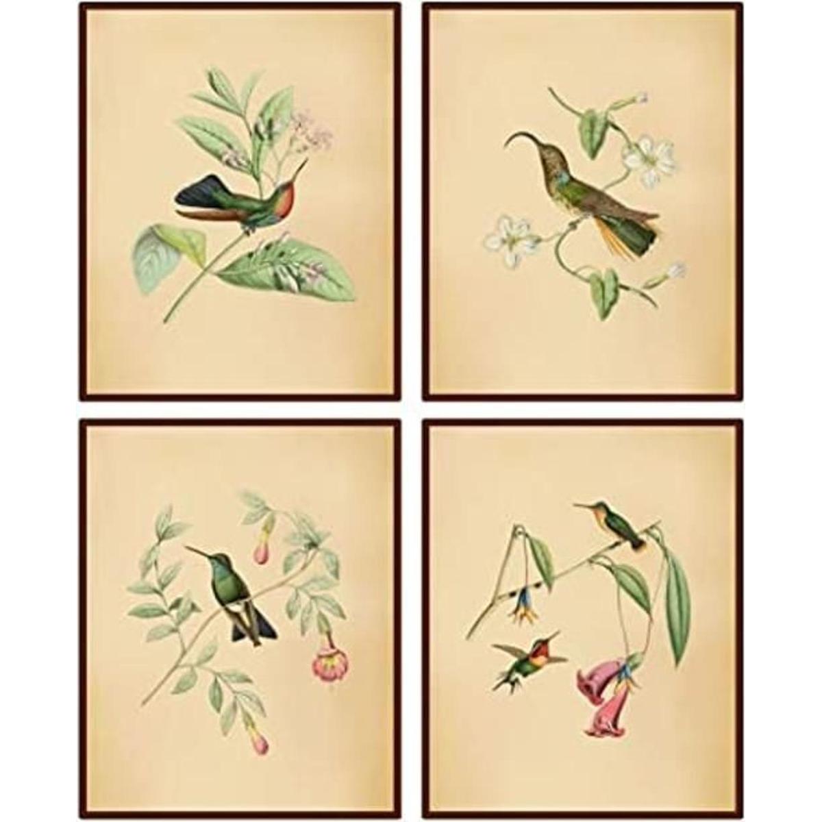 Lienzo botánico de pájaros vintage estampado de pájaros