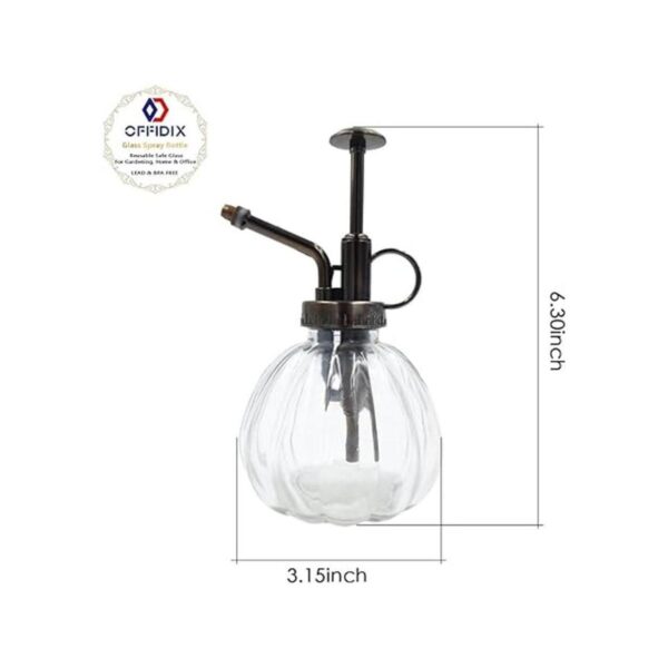 OFFIDIX Botella de riego de cristal transparente 6.3_2