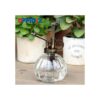 OFFIDIX Botella de riego de cristal transparente 6.3_4
