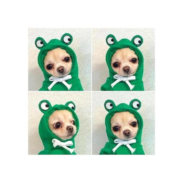 Frieyss Lindo suéter verde con capucha para perro disfraz