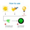 Cuentas de piedra solar luminosa que crecen en la