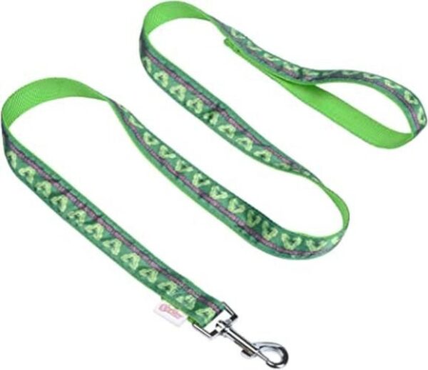 Marvel Comics The Incredible Hulk 4 Foot Leash or 6 Foot_1