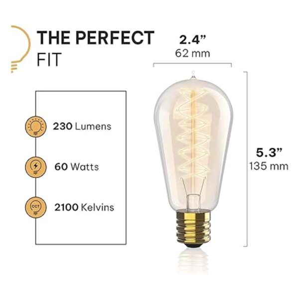 HUDSON BULB CO. Bombillas incandescentes vintage Edison de_2