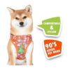 Nickelodeon All Stars Arnés para perros de todos los